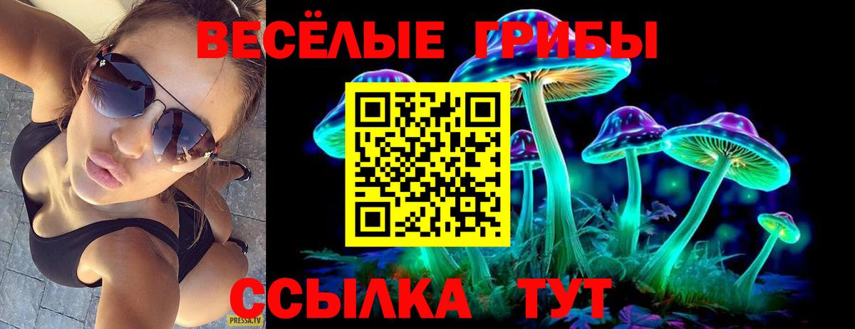 Псилоцибиновые грибы Psilocybine cubensis  Псилоцибиновые грибы Psilocybe  Елец  Вход с VPN 