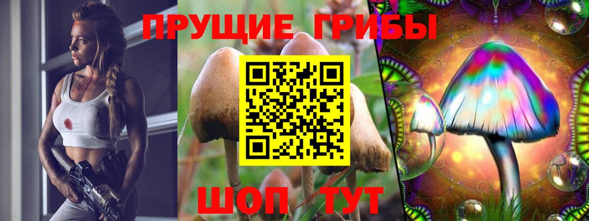 Псилоцибиновые грибы прущие грибы Елец
