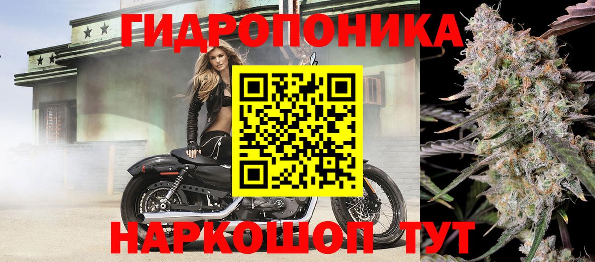 Бошки марихуана SATIVA & INDICA  Конопля тримм  Вход с VPN  Шишки марихуана THC 21%  Елец 